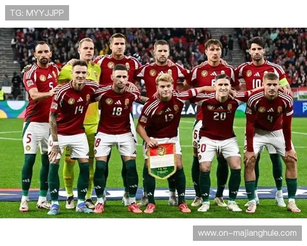 奥地利VS波黑：主场龙迎战客场虫，波黑防守漏洞成隐患